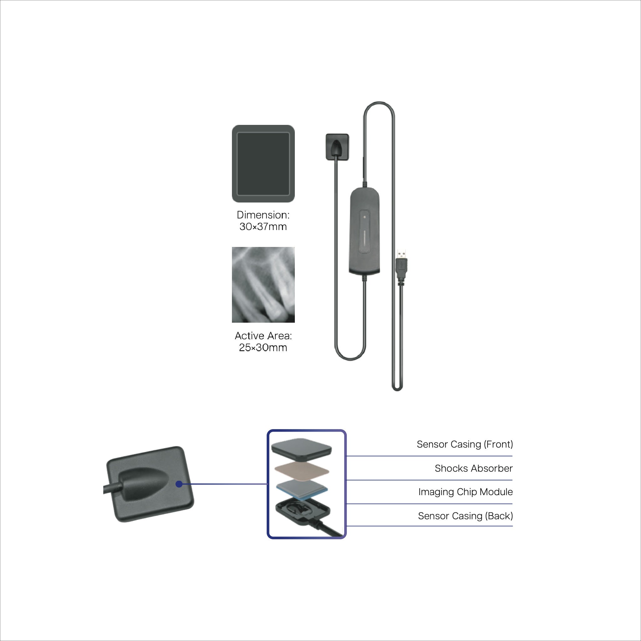 BR-831 Intraoral X-Ray Sensor