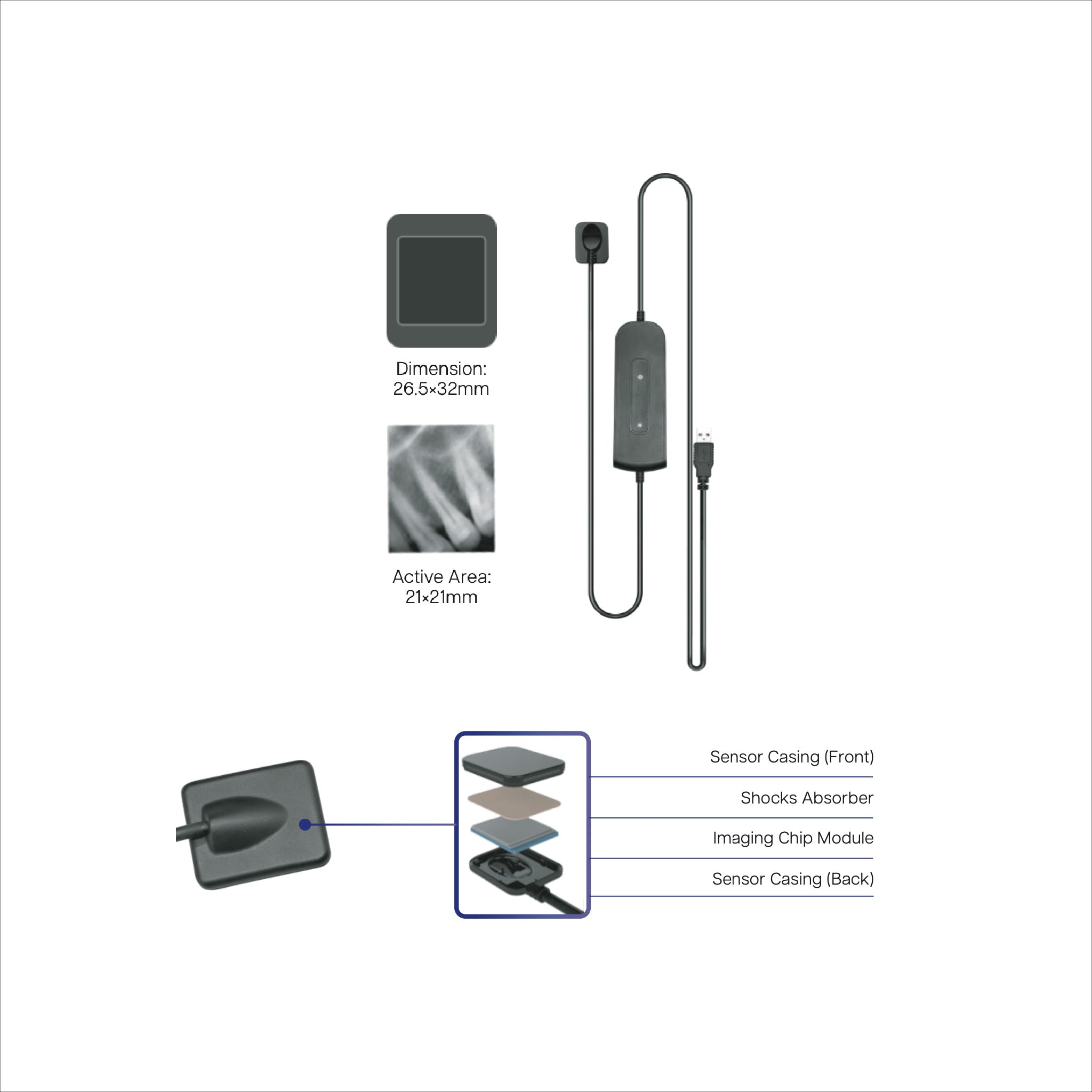 BR-832 Intraoral X-Ray Sensor